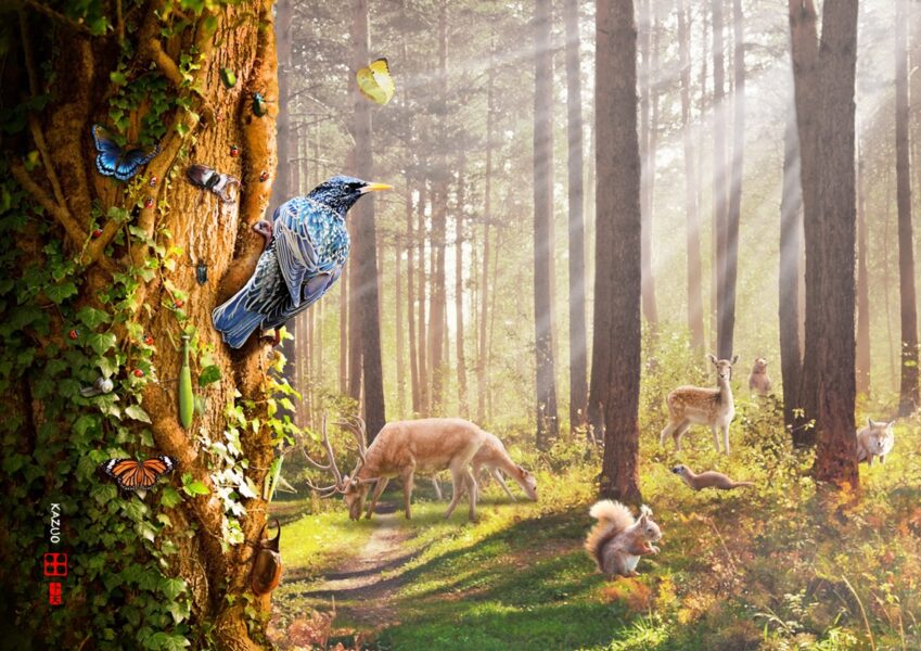 427 Radiance of Life