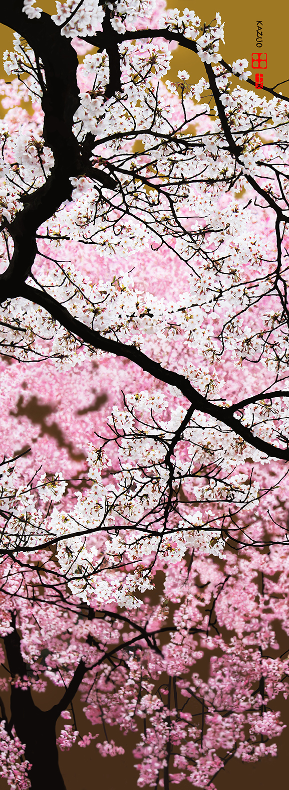 386 Cherry Blossoms and Bushido