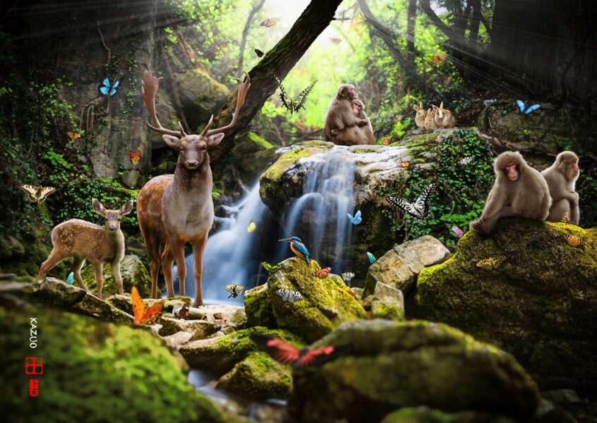 436Coexistence and Mutual Prosperity