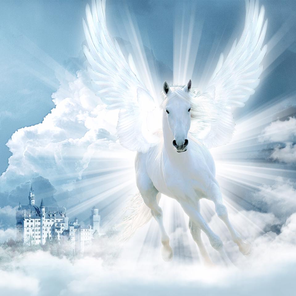 141 Just Like Pegasus Flying the Heavens