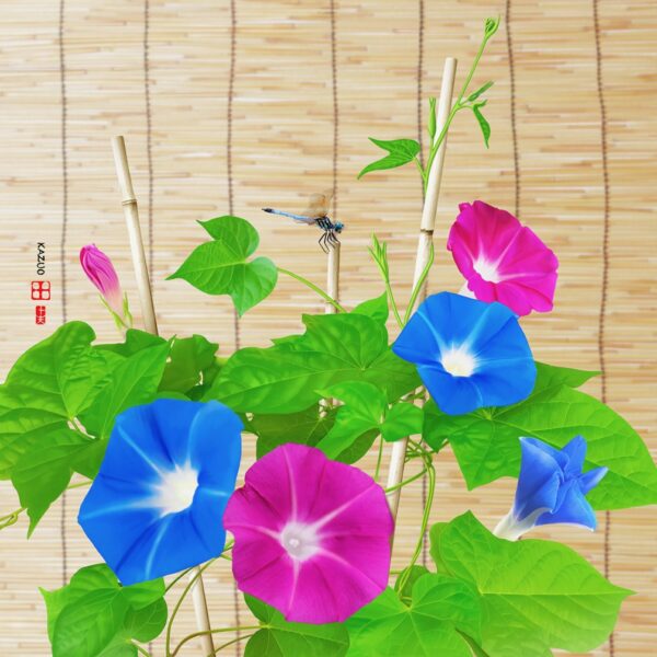 424 Homework of the Soul